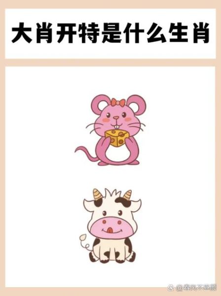 那些生肖是大属相（哪些生肖是大属相新手秒懂）