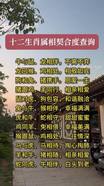生肖属相姻缘配对软件（生肖属相姻缘配对精准查询）
