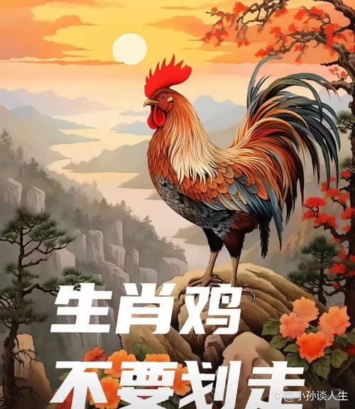 生肖鸡孩子什么属相好（生肖鸡宝宝最旺爸妈的生肖配）