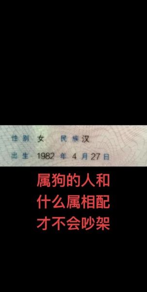 狗属相和哪个生肖合（狗属相和什么生肖最配）