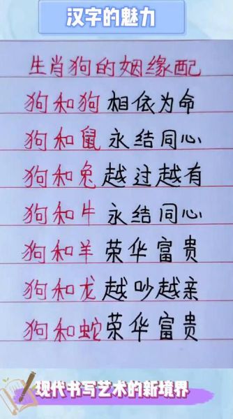 狗属相和哪个生肖合（狗属相和什么生肖最配）