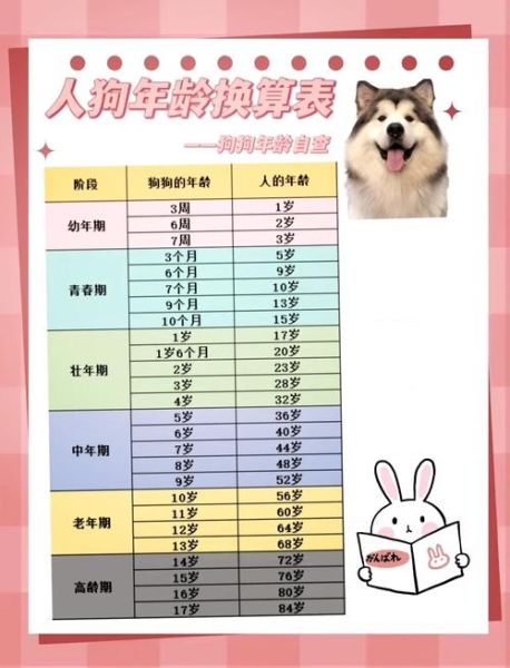 十二生肖属狗属相（属狗的人今年多大年龄对照表）