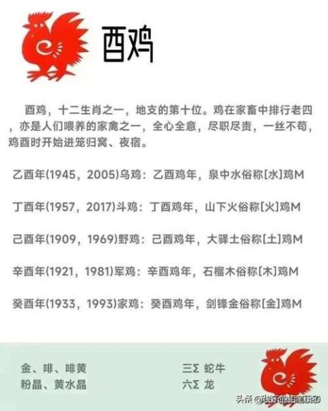 175年属什么生肖属相（175年属什么生肖）