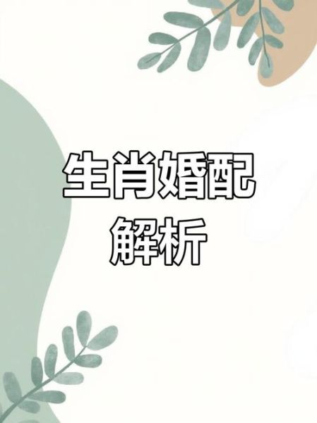 生肖猪的配对属相（生肖猪最佳婚配：和哪些属相最合拍？）