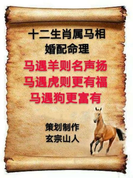 马生肖配对什么生肖属相（属马最配的生肖排名一览）