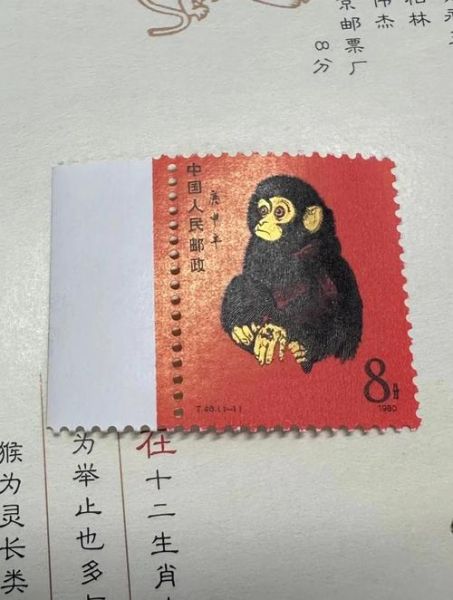 马可斯什么生肖属相