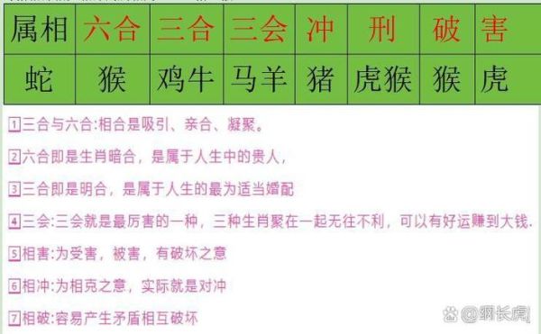 生肖蛇跟什么属相冲（生肖蛇与什么属相相冲）