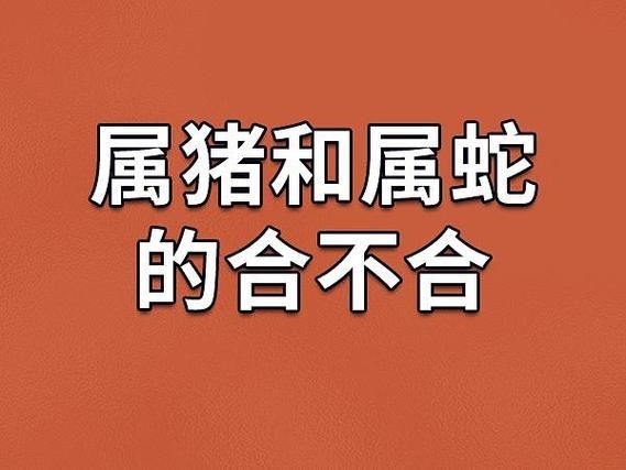 生肖蛇和猪属相（生肖蛇和猪相冲吗？婚姻如何化解🐍🐷）
