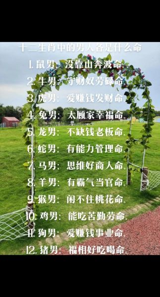 最专情的生肖属相（最专情的生肖属相是什么）