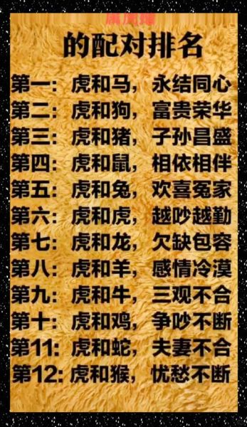 生肖龙虎相配的属相（龙虎相配和哪些属相最合适）