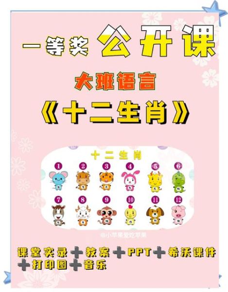 生肖属相大全讲解视频（十二生肖详解视频全集免费观看教程）