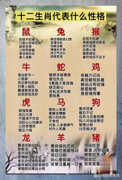 生肖属相大全讲解视频（十二生肖详解视频全集免费观看教程）