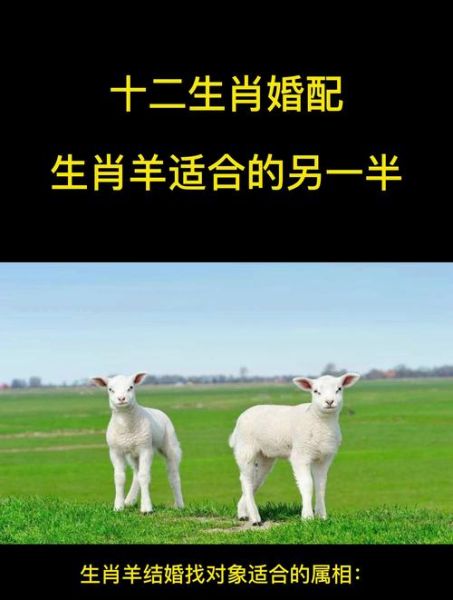 生肖羊的属相婚配