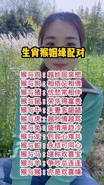 生肖猴的喜欢什么属相（生肖猴喜欢什么属相？速查指南）