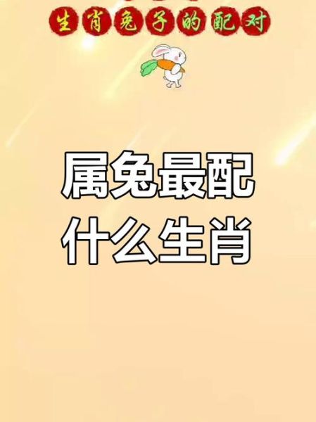 兔属相喜欢什么生肖女生（兔男喜欢什么生肖女最配）