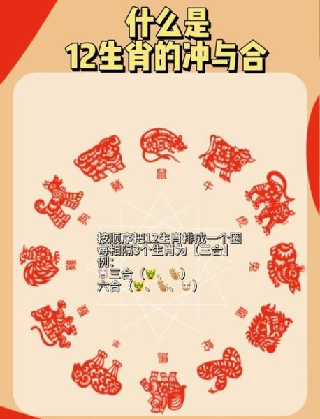 哪些生肖之间属相合（鼠和什么生肖三合六合贵人最多）