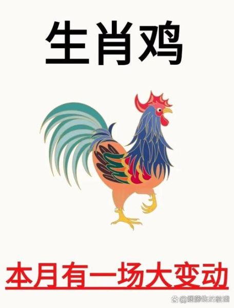 鸡属相后面是什么生肖（鸡属相后面是什么生肖 🐓➡️）