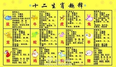 81属相是什么生肖（81属相是什么生肖🤔）