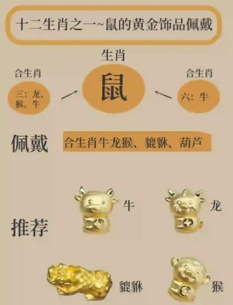 鼠的最佳生肖属相（鼠的最佳生肖属相配对详解）