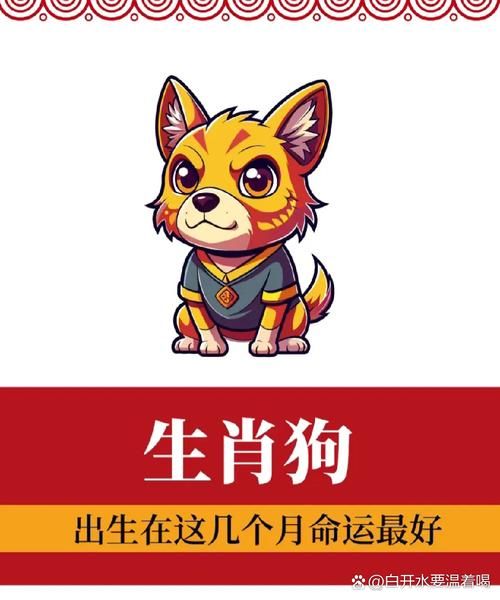 生肖狗2021吉祥属相（2021属狗最旺的生肖组合是？）