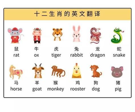 用英语排列中国生肖属相（中国生肖英文顺序怎么记？一次就懂）