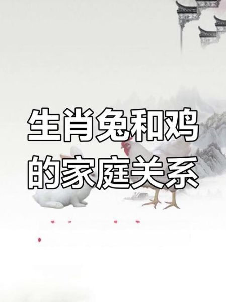 生肖属相配对鸡兔（生肖鸡兔配吗）
