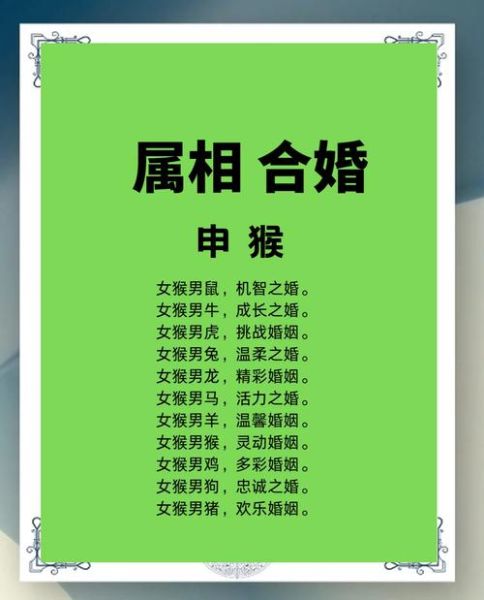 生肖猴和哪些属相相合（生肖猴和什么属相最合）