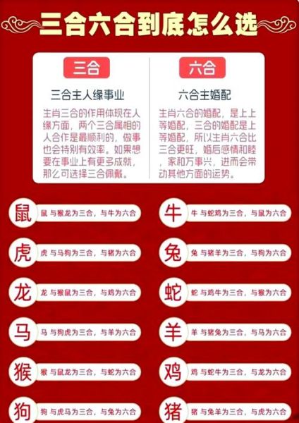 马属相冲三合出什么生肖（马属相和三合生肖对照表）