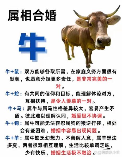 最优秀的生肖女属相（最贤惠的生肖女 属牛女为什么公认好命）