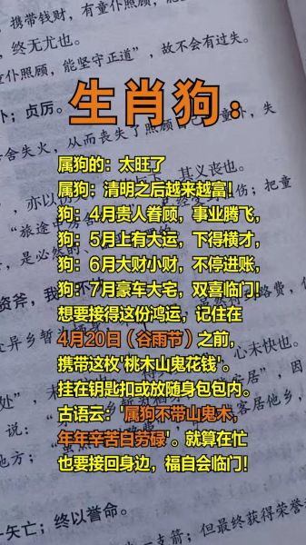 生肖狗喜欢什么属相的（属狗跟什么属相最合拍？答案在这）