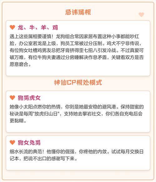 生肖狗喜欢什么属相的（属狗跟什么属相最合拍？答案在这）