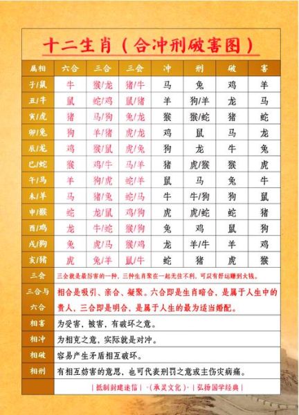 生肖猪反冲的属相（生肖猪和谁相冲？小白秒懂冲煞指南）