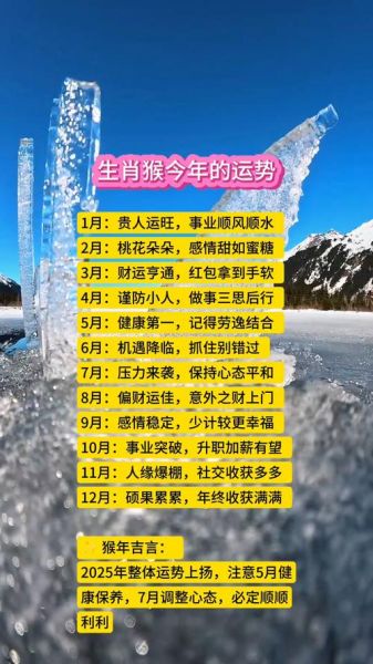 生肖猴属相运势（生肖猴运势详解今年财运感情走向）