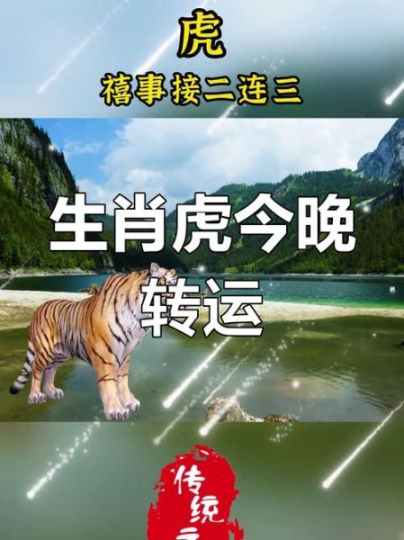 老虎地支属什么生肖属相