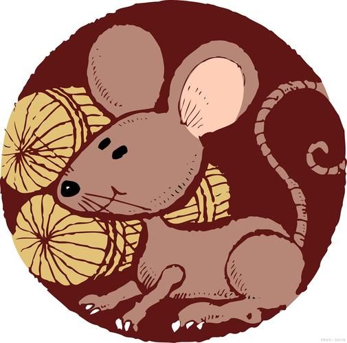 属相是老鼠的生肖（鼠年出生属什么生肖）