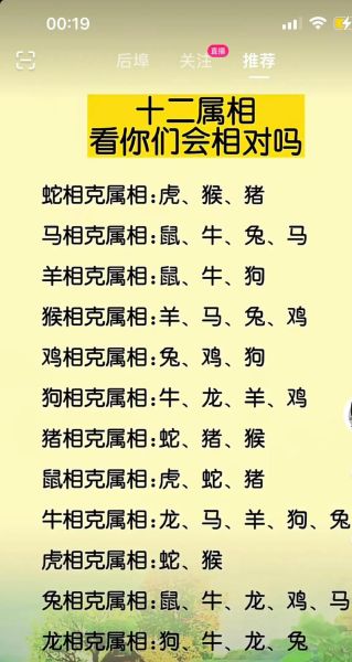 生肖龙匹配哪个属相（生肖龙和什么属相最配）