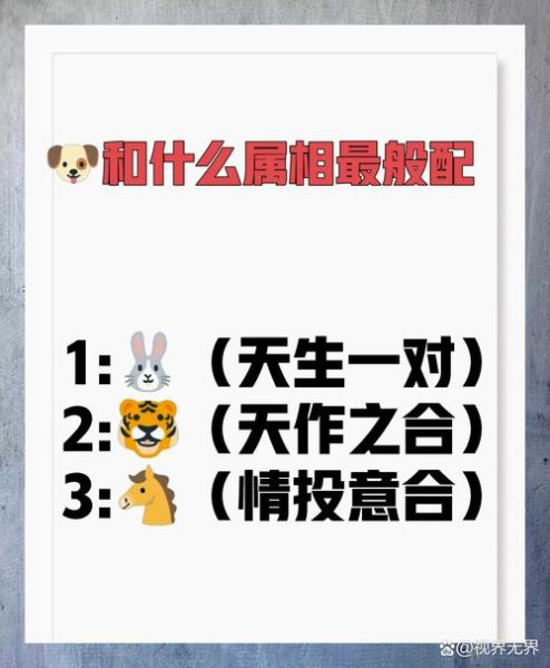 生肖狗婚姻配对属相（属狗的婚姻最配属相有哪些）