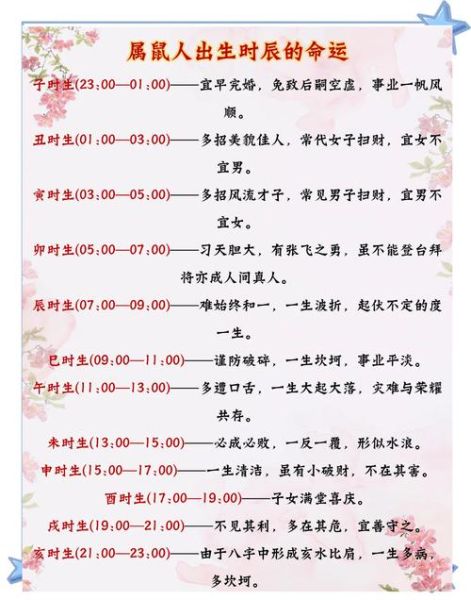 生肖属相和时辰（鼠宝宝出生时辰吉凶详解）