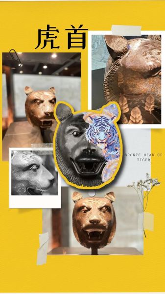 芳华生肖属相（芳华指的生肖是什么）