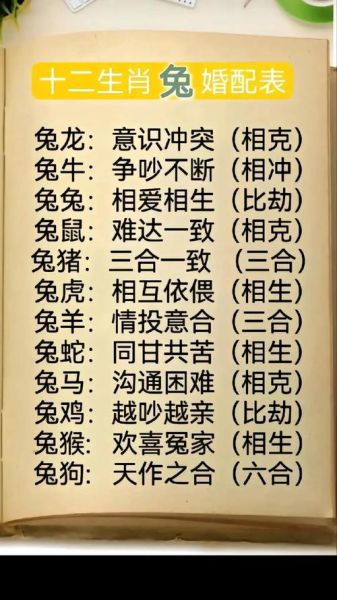 生肖龙和兔属相合不合财（属龙和属兔合财吗真相揭秘）
