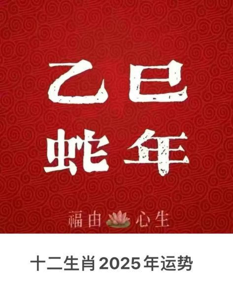 金蛇生肖缺什么属相（金蛇命里缺什么属相？新手一文看懂）