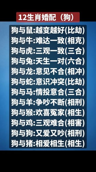 生肖狗配所有属相（生肖狗和什么生肖相克最准详解）