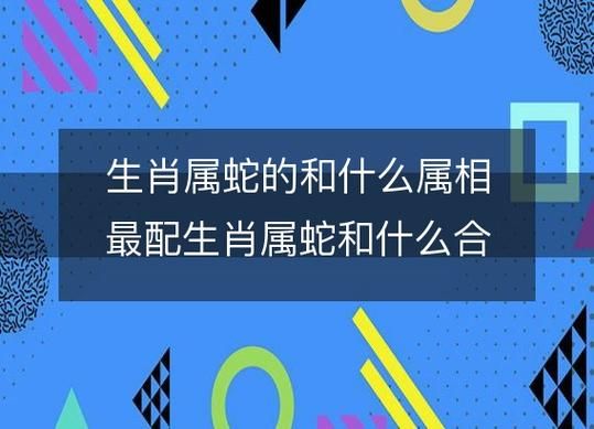 蛇相配的属相生肖（属蛇和什么生肖最配）