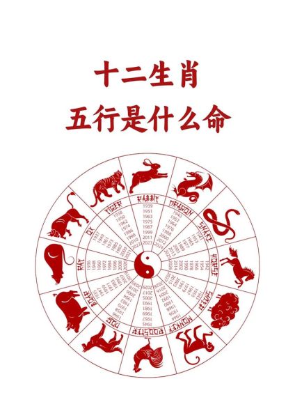 近视的生肖属相（近视的生肖是哪个？新手看懂生肖与运势）