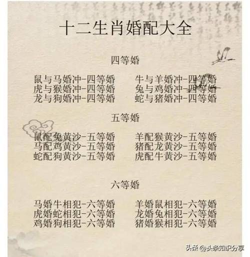 结婚出现什么生肖属相（结婚出现什么生肖最旺新人运势）