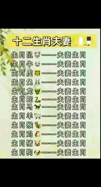 适合夫妻生肖的配对属相（夫妻最配的生肖属相排名）