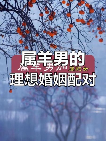 羊生肖配什么属相（羊生肖配什么属相最好命？）