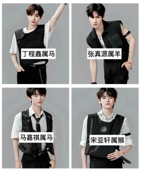 生肖属相明星有哪些（属鼠的明星都有谁？小白入门全解析）