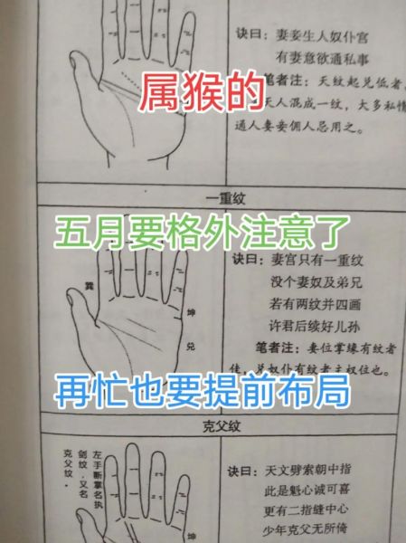王鹏十二生肖属相（王鹏属猴吗——生肖速查指南）