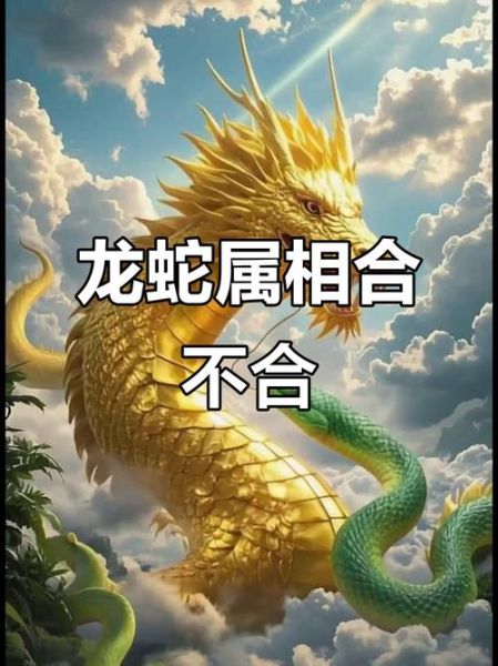 龙蛇生肖相合属相（龙蛇生肖相合吗？新人速查指南 🐲🐍）